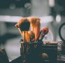 5 Skin Care Rituals You Should Be Doing Before Bed